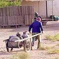 Muynak pictures Muynak pictures