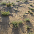 The Jeyran ecocente. Desert
