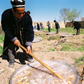 Pictures of Navruz