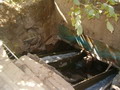 An old water mill