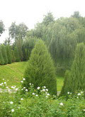 Alisher Navoiy Park