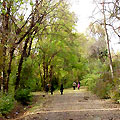 Botanic Garden