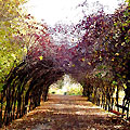 Botanic Garden