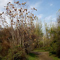 Botanic Garden