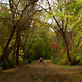 Botanic Garden