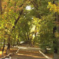 Фотографии парка Гульшан. Ташкентские парки