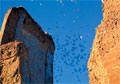 Pictures of Shakhrisabz
