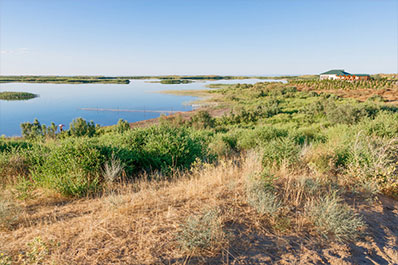 Aydarkul lake, Uzbekistan