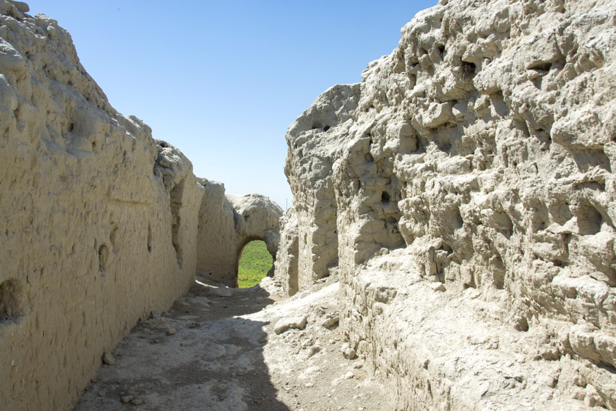 Варахшанский дворец, Бухара Варахшанский дворец, Бухара