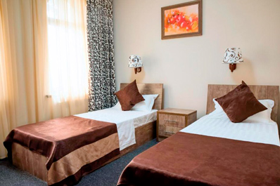 Стандарт твин