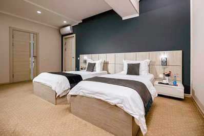 Стандартный твин