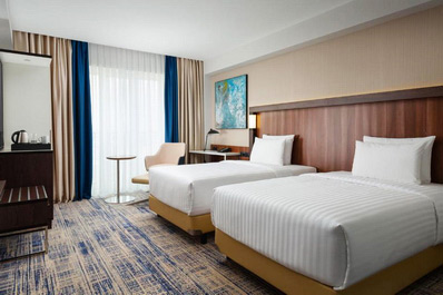 Стандартный твин