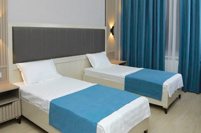 Стандарт твин