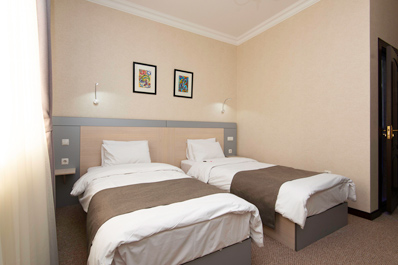 Стандартный твин