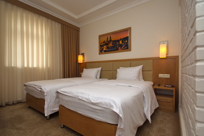 Стандартный твин