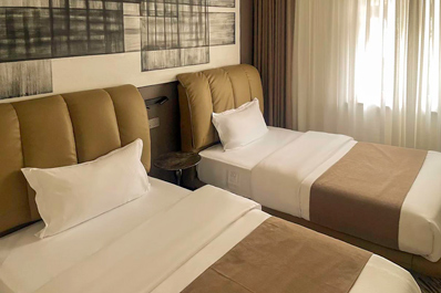 Стандартный твин