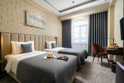 Стандарт твин