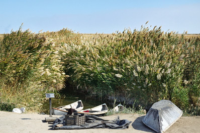 Sudochie Lake, Karakalpakstan