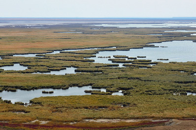 Sudochie Lake, Karakalpakstan