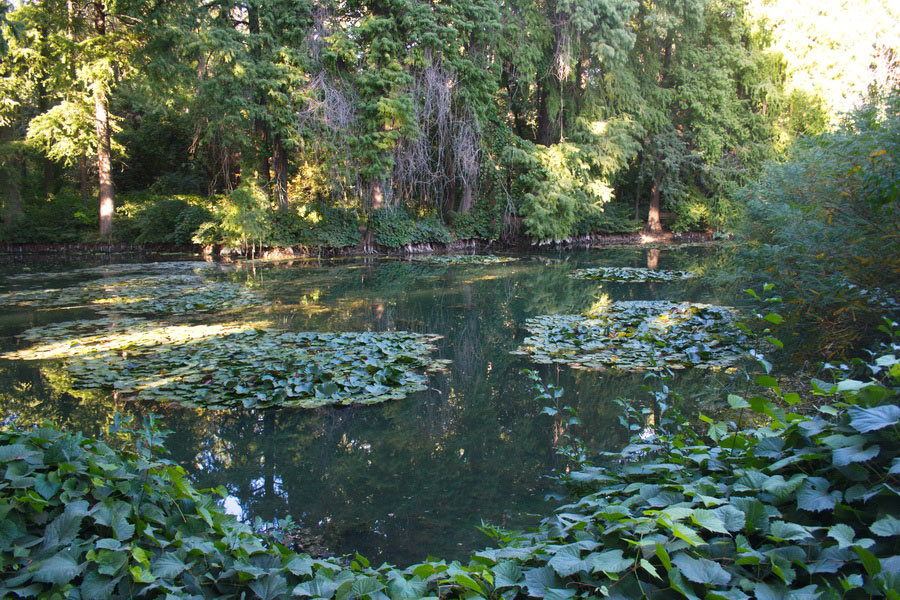 Botanic Garden, Tashkent