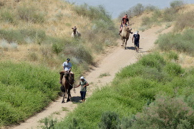 Desert Yurts and Mountain Villages Tour: Aydarkul and Nurata