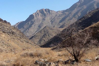 Uhum Village and Petroglyph Hiking Tour