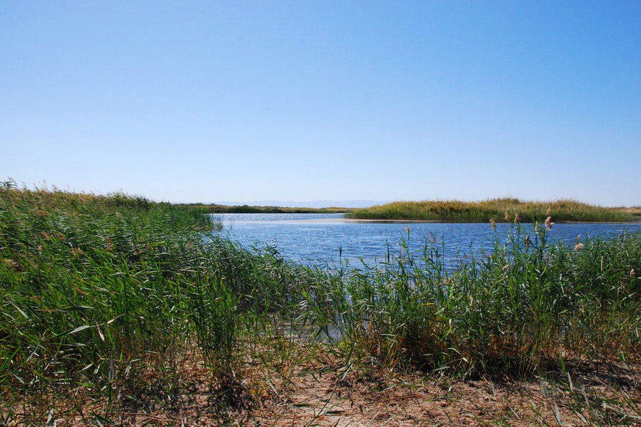 Aydarkul Lake Tours, Uzbekistan